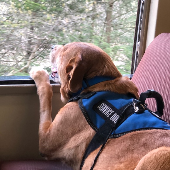 Meet your Posher, Timberly - Picture 1 of 1